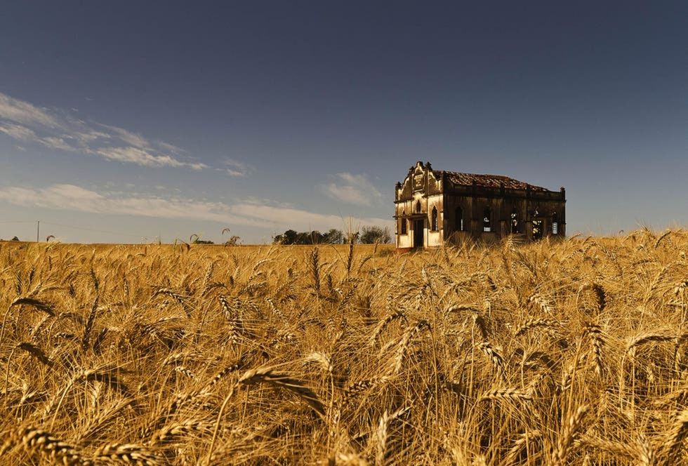 Foto Lugares lindos para fazer ensaio no PR Foto Lugares lindos para fazer ensaio no PR - Imagem 0