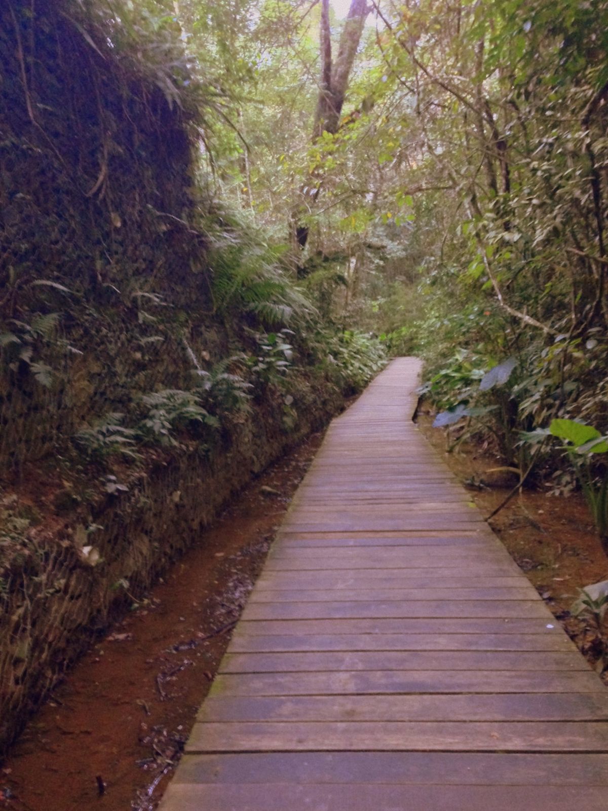 Foto Lugares lindos para fazer ENSAIO em Curitiba! Foto Lugares lindos para fazer ENSAIO em Curitiba! - Imagem 32